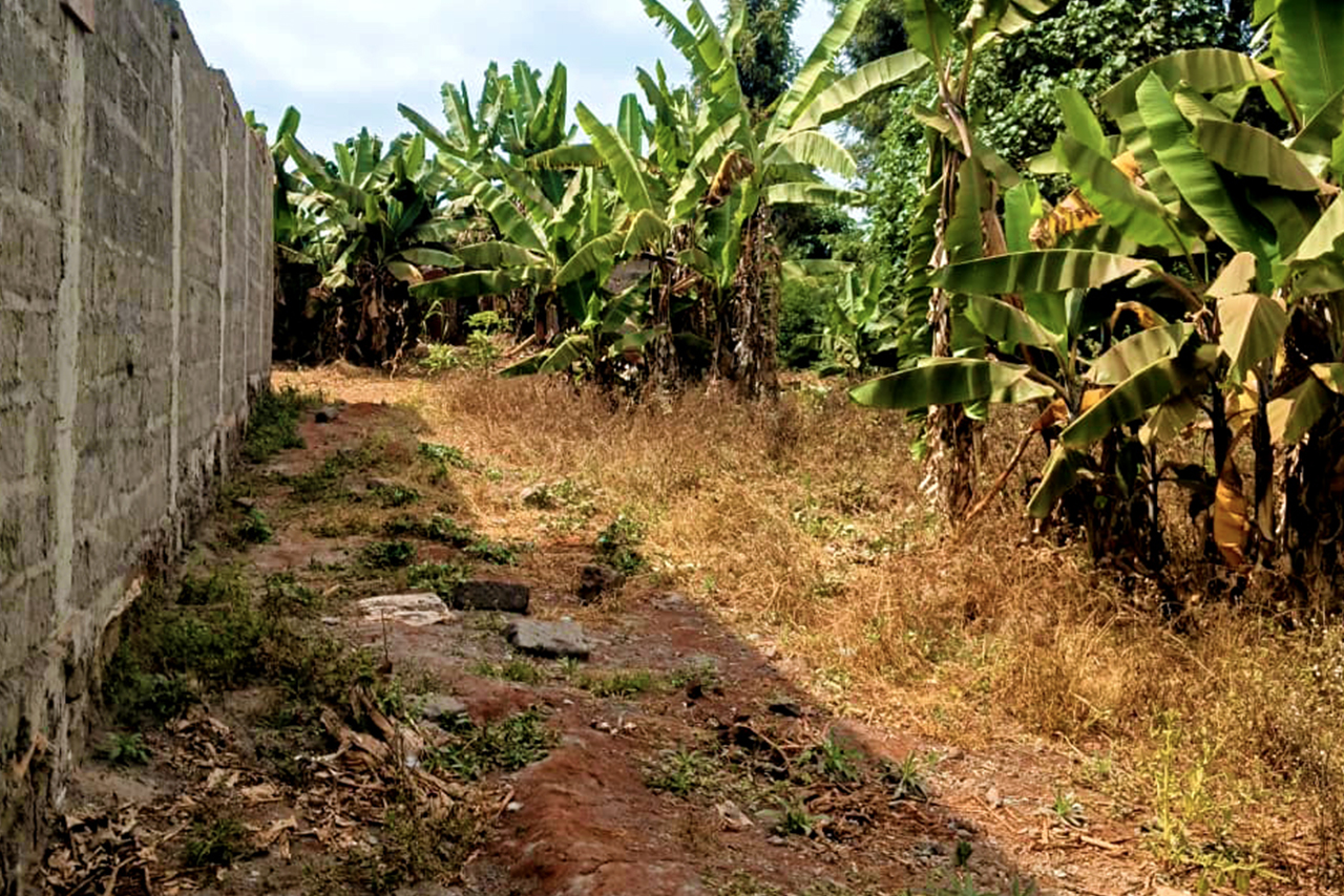 MUGUTHA LAND